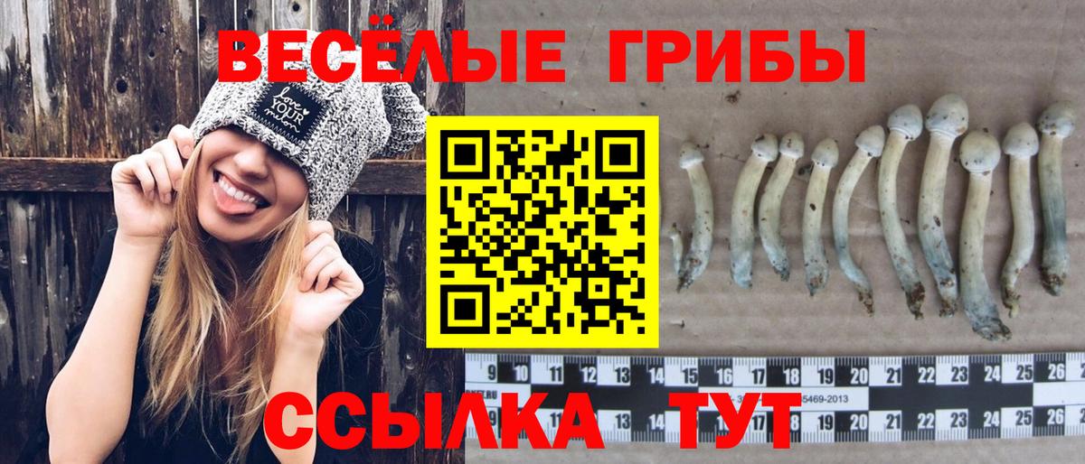 закладка  Вход с VPN  Псилоцибиновые грибы Magic Shrooms  Владимир  Псилоцибиновые грибы MAGIC MUSHROOMS 